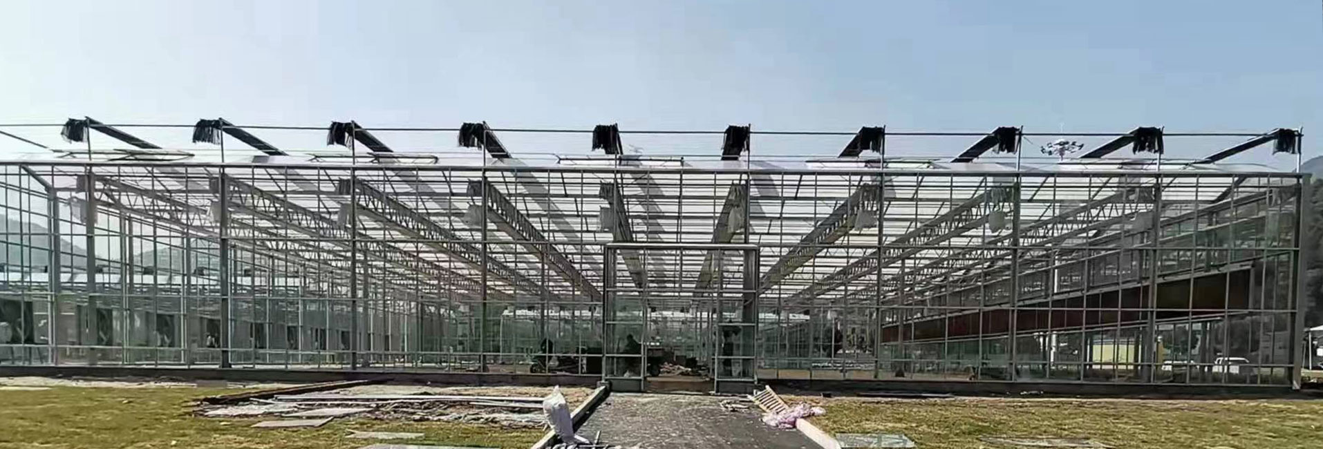 青州市萬紅溫室園藝工程有限公司